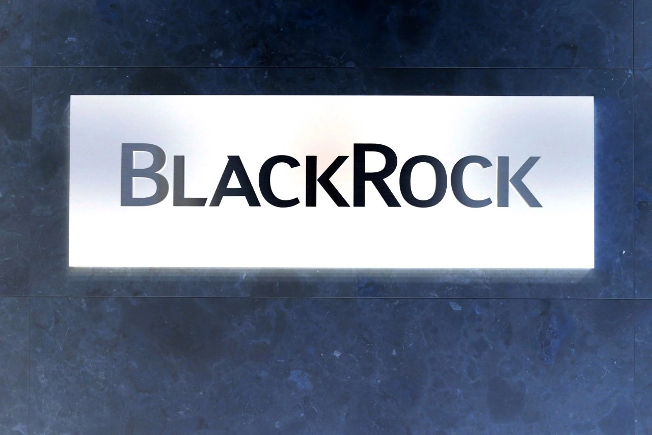 147 interconnected companies, of which the largest are Black Rock, Vanguard Group, State Street