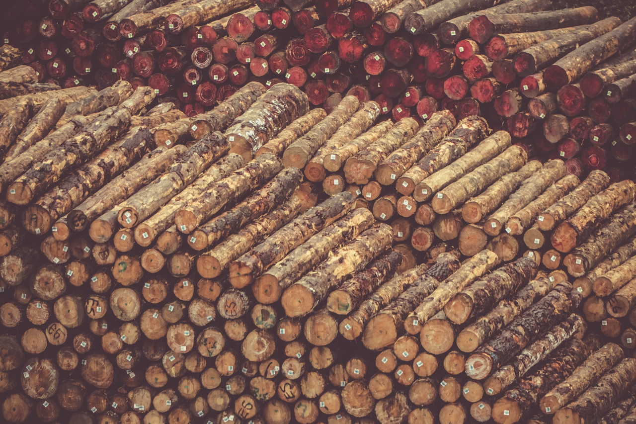 What should countries involved in the forestry business do after the EU ban on the sale of products related to deforestation?